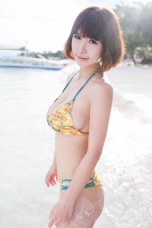 以规则之名