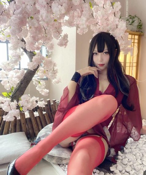 王牌贱碟