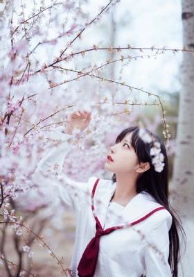 无颜之月在线播放